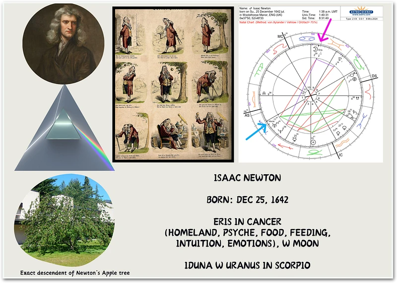 Figure 7. The horoscope of Isaac Newton is presented, along with images depicting Newton’s Apple tree at Trinity College, Cambridge, and wood engravings illustrating Newton’s famous steps under the apple tree ( all from wikipedia, Horoscopes generated via astro.com).